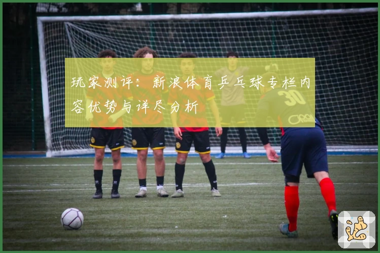 玩家测评：新浪体育乒乓球专栏内容优势与详尽分析