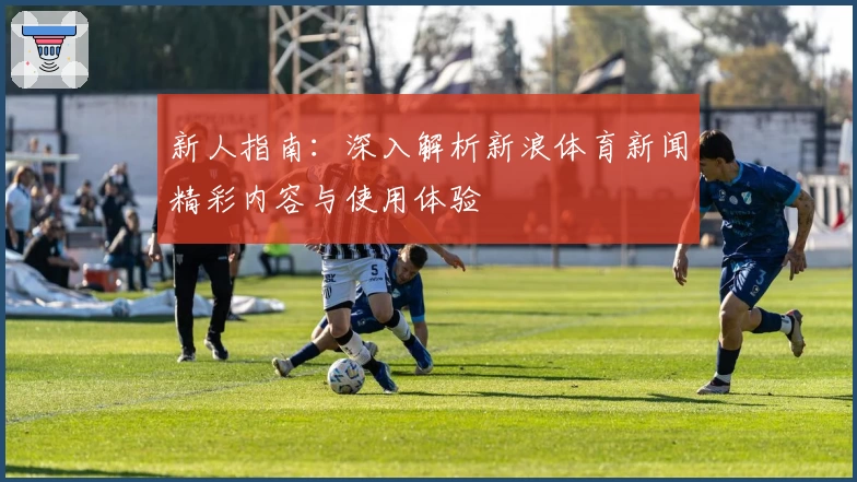 新人指南：深入解析新浪体育新闻精彩内容与使用体验