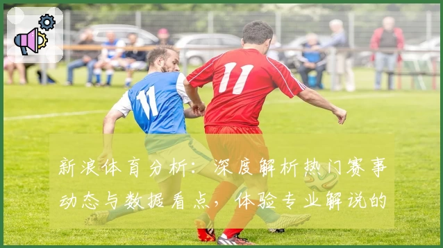 新浪体育分析：深度解析热门赛事动态与数据看点，体验专业解说的魅力与无限精彩