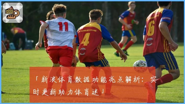 「新浪体育数据功能亮点解析：实时更新助力体育迷」