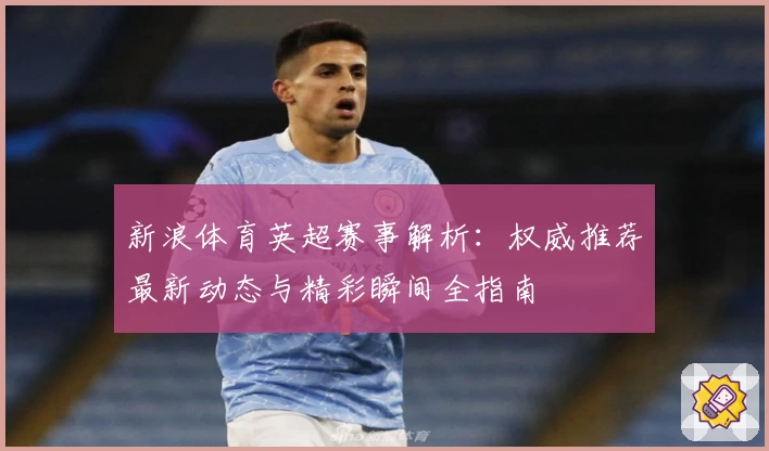 新浪体育英超赛事解析：权威推荐最新动态与精彩瞬间全指南