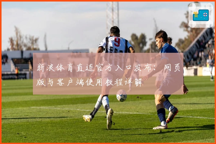 新浪体育直连官方入口发布：网页版与客户端使用教程详解