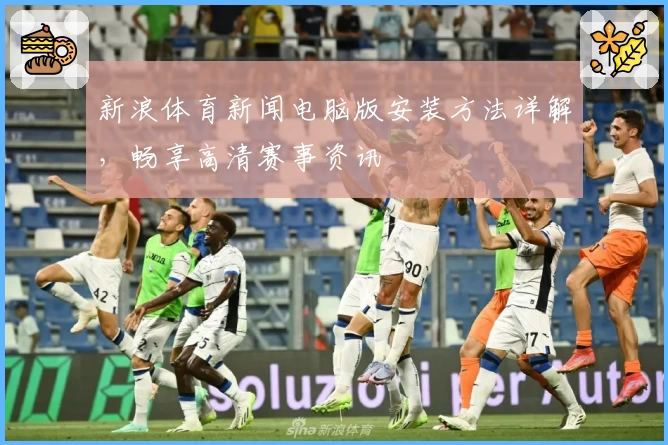 新浪体育新闻电脑版安装方法详解，畅享高清赛事资讯