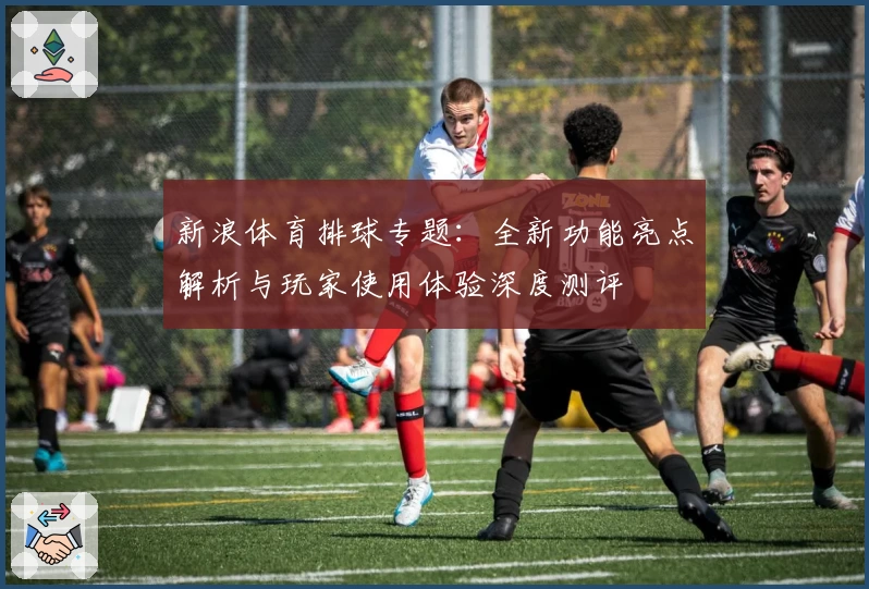 新浪体育排球专题：全新功能亮点解析与玩家使用体验深度测评