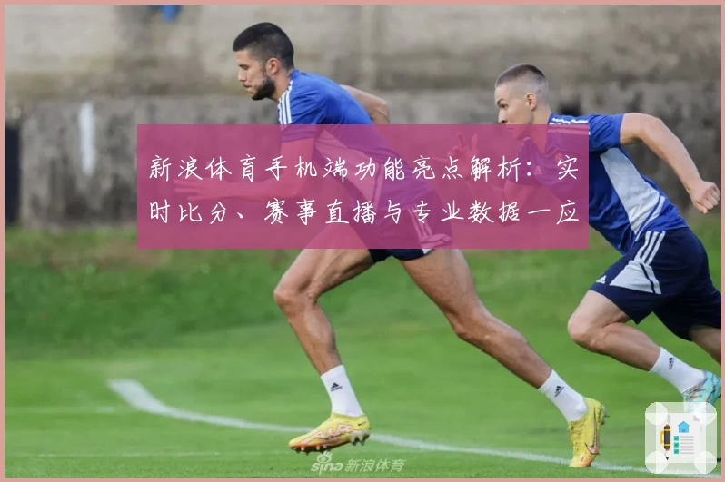 新浪体育手机端功能亮点解析：实时比分、赛事直播与专业数据一应俱全