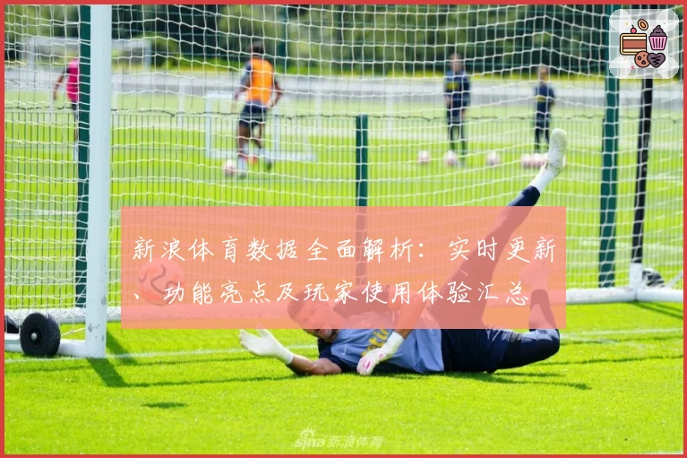新浪体育数据全面解析：实时更新、功能亮点及玩家使用体验汇总